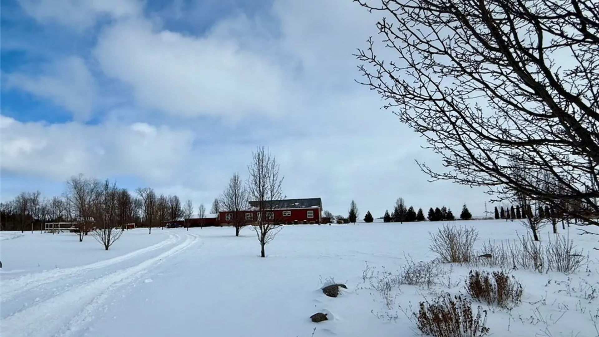 Property at 1051 Carpenter Road, Ledyard, NY 13026 48