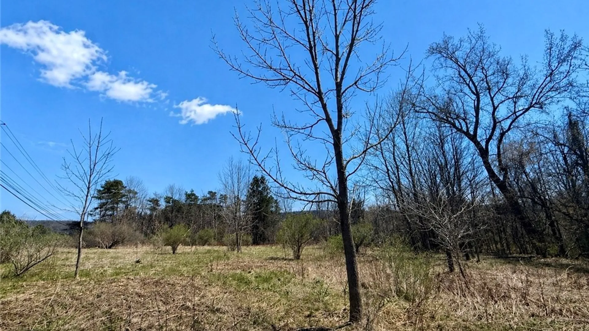 Property at 00 Route 20, Nelson, NY 13035 11