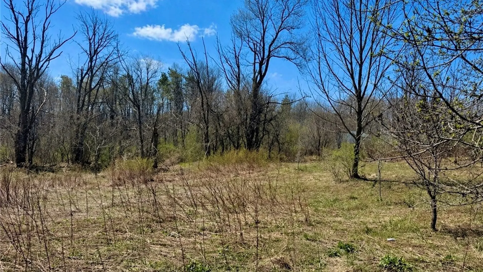 Property at 00 Route 20, Nelson, NY 13035 2