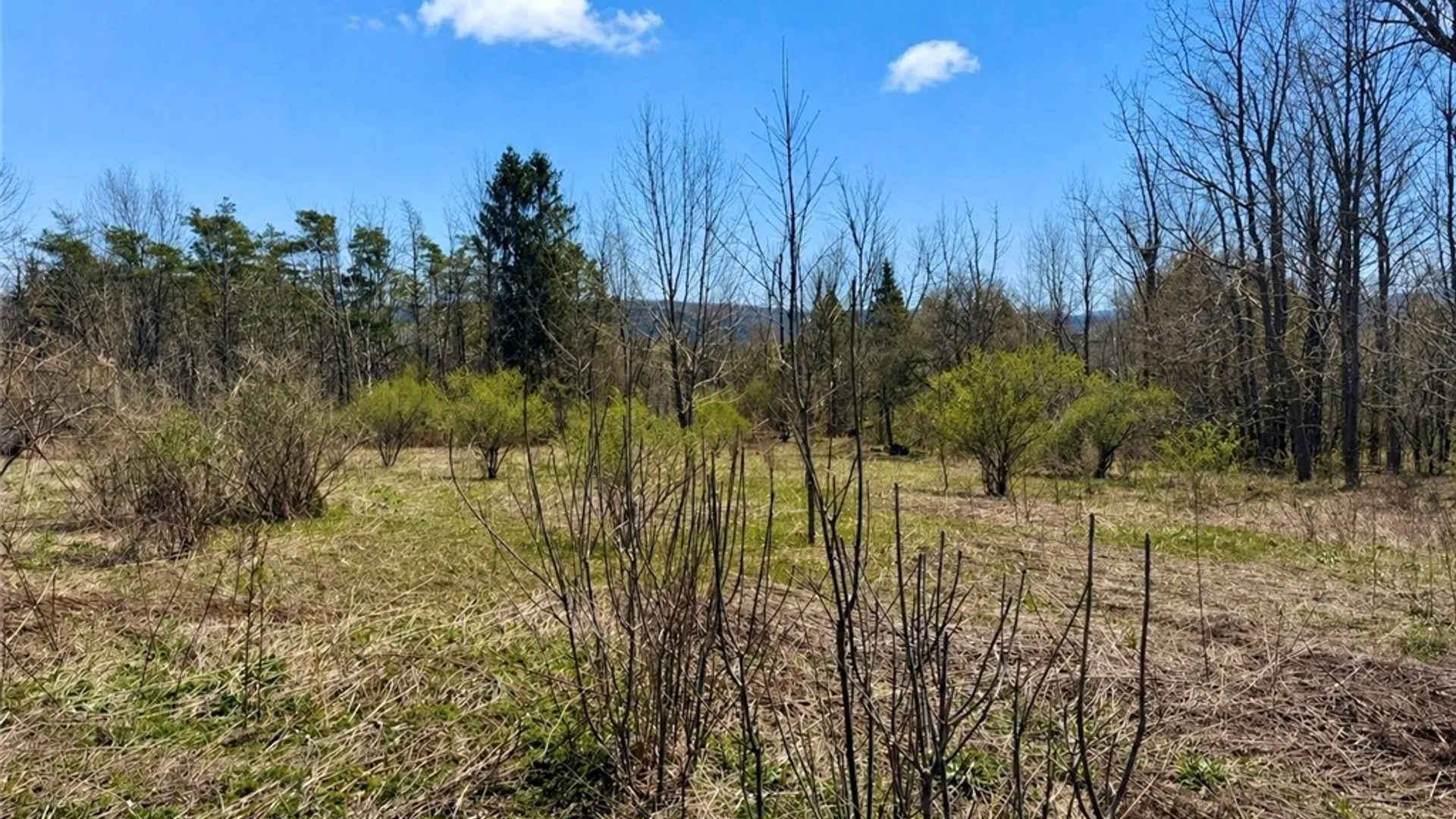 Property at 00 Route 20, Nelson, NY 13035 6