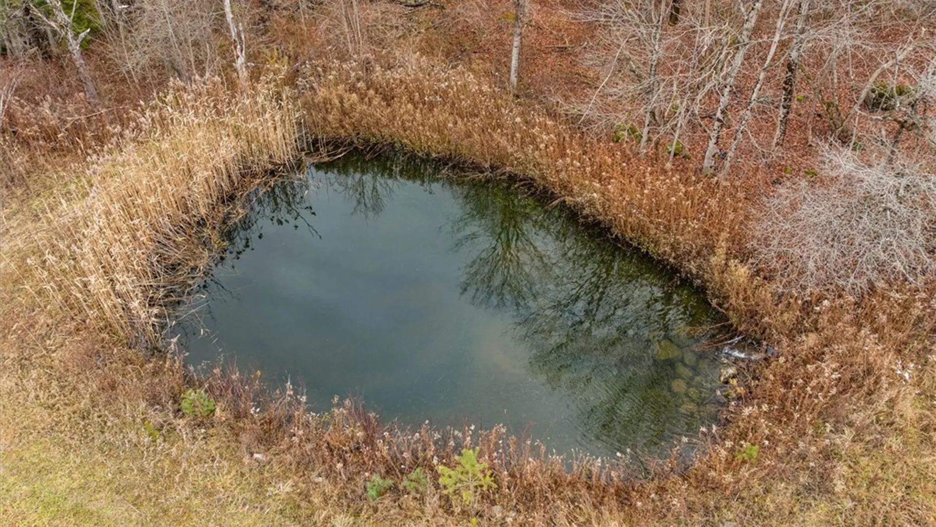 Property at 11338 Rt-12, Boonville, NY 13309 10