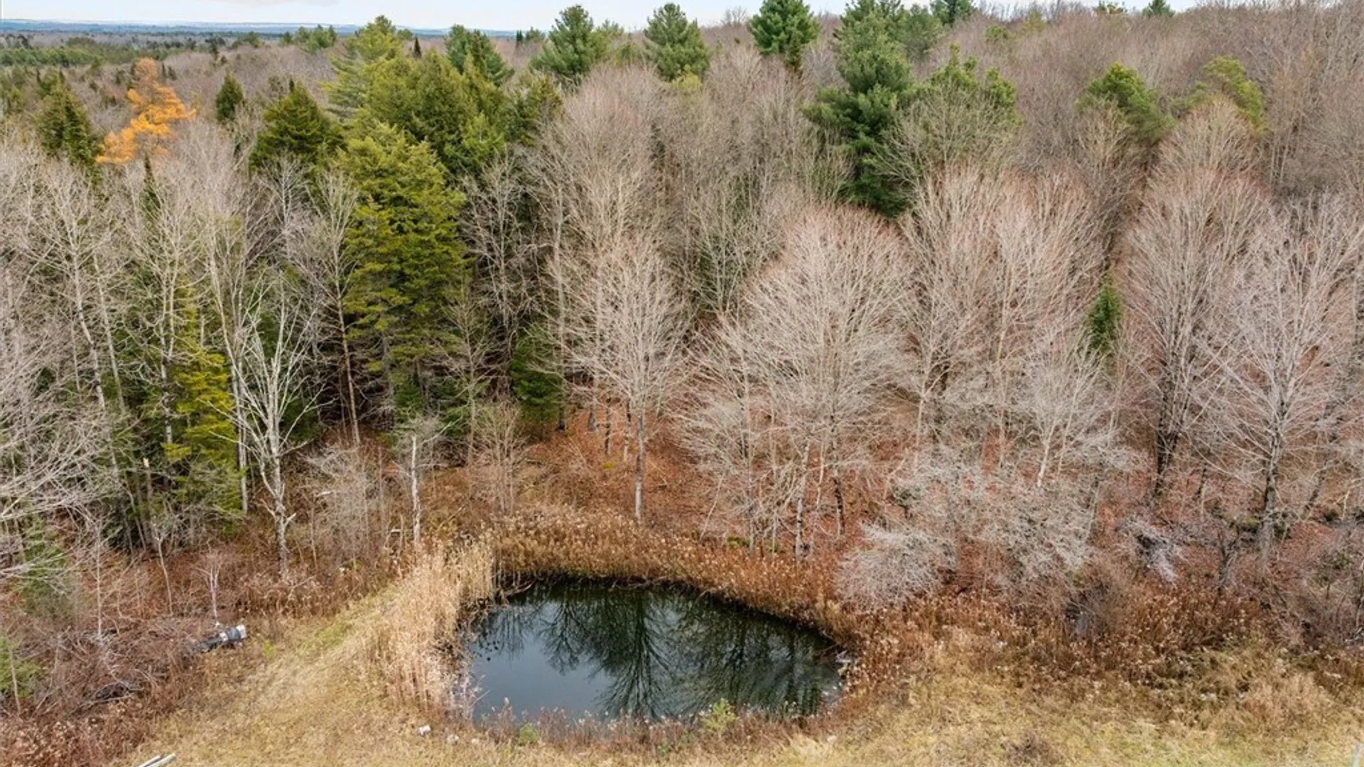 Property at 11338 Rt-12, Boonville, NY 13309 20