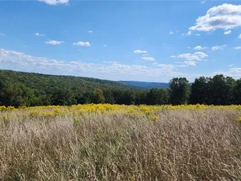 Property at 212-A Hill Road, Danby, NY 14001