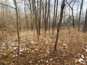 Property at County Road 15, Granger, NY 14846