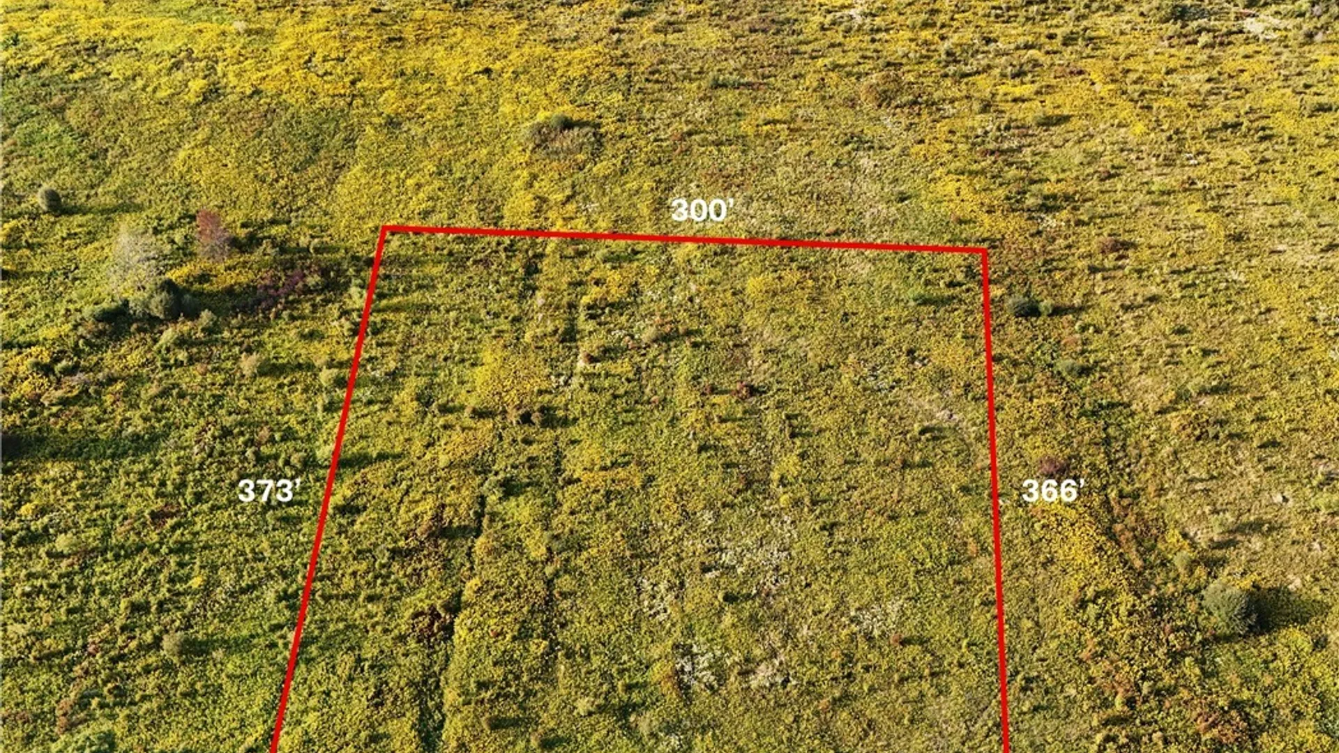 Property at 00 Clark Road, Lyndon, NY 14737 2