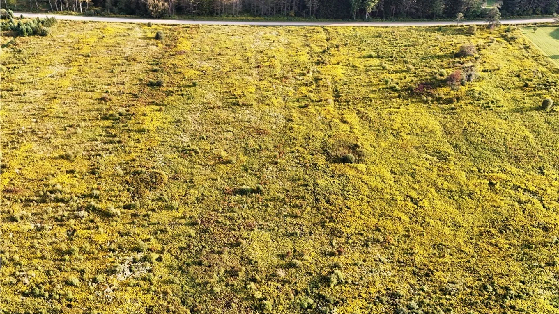 Property at 00 Clark Road, Lyndon, NY 14737 3