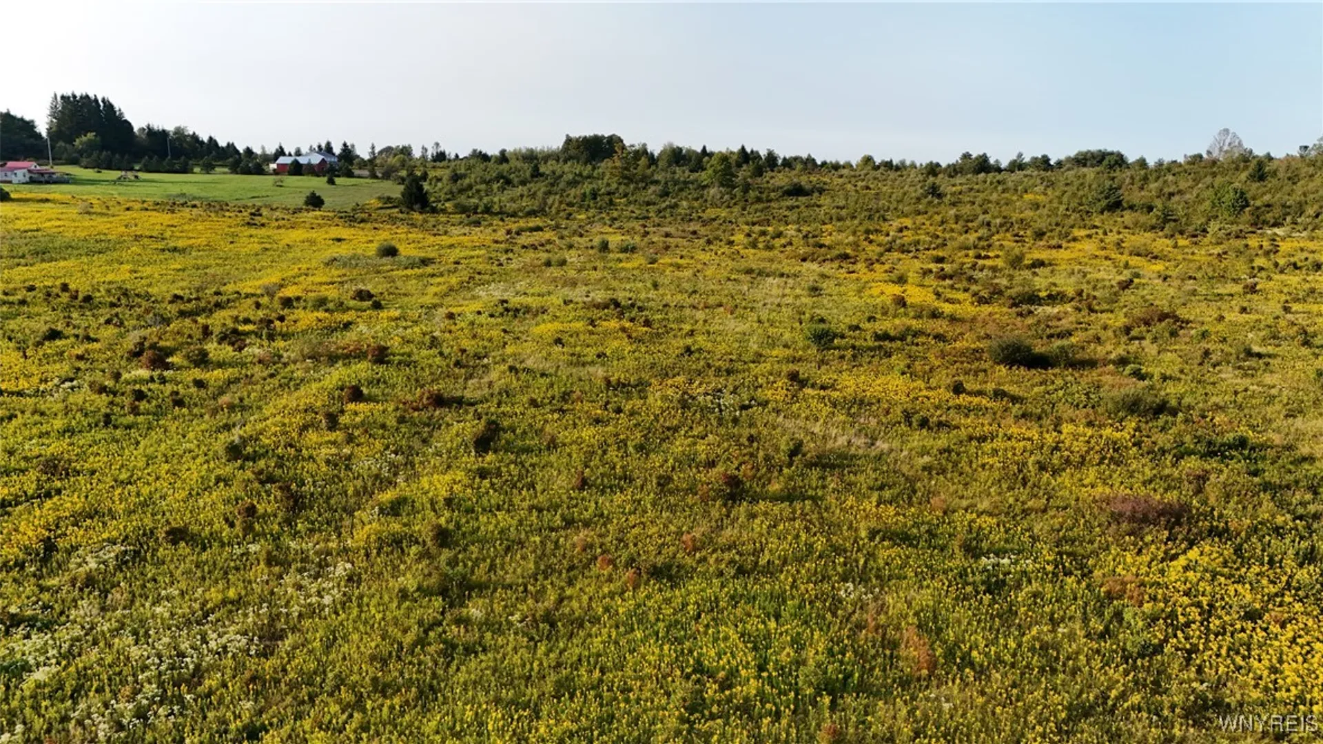 Property at 00 Clark Road, Lyndon, NY 14737 5