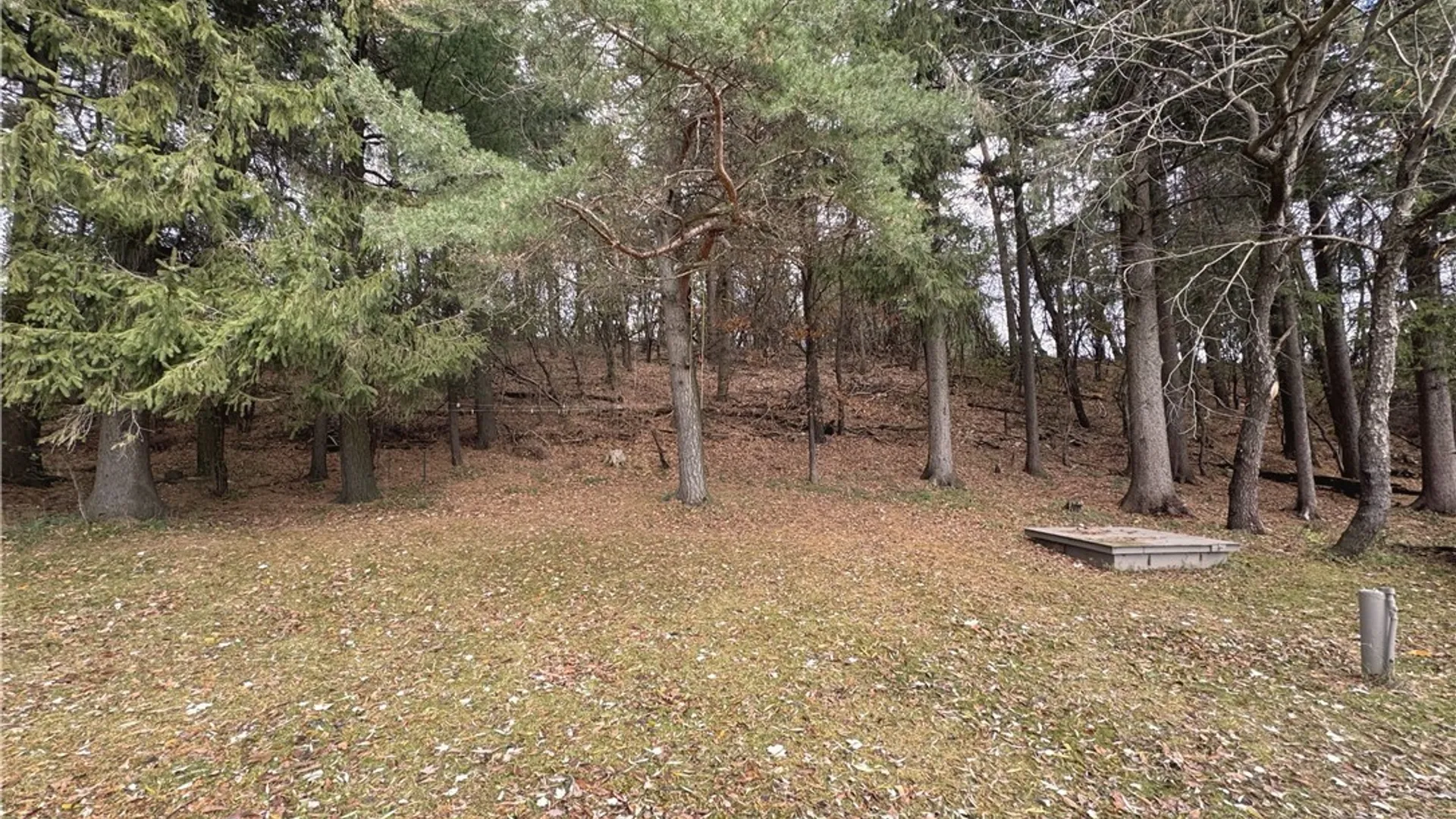 Property at 28120 State Route 126, Rutland, NY 13612 6