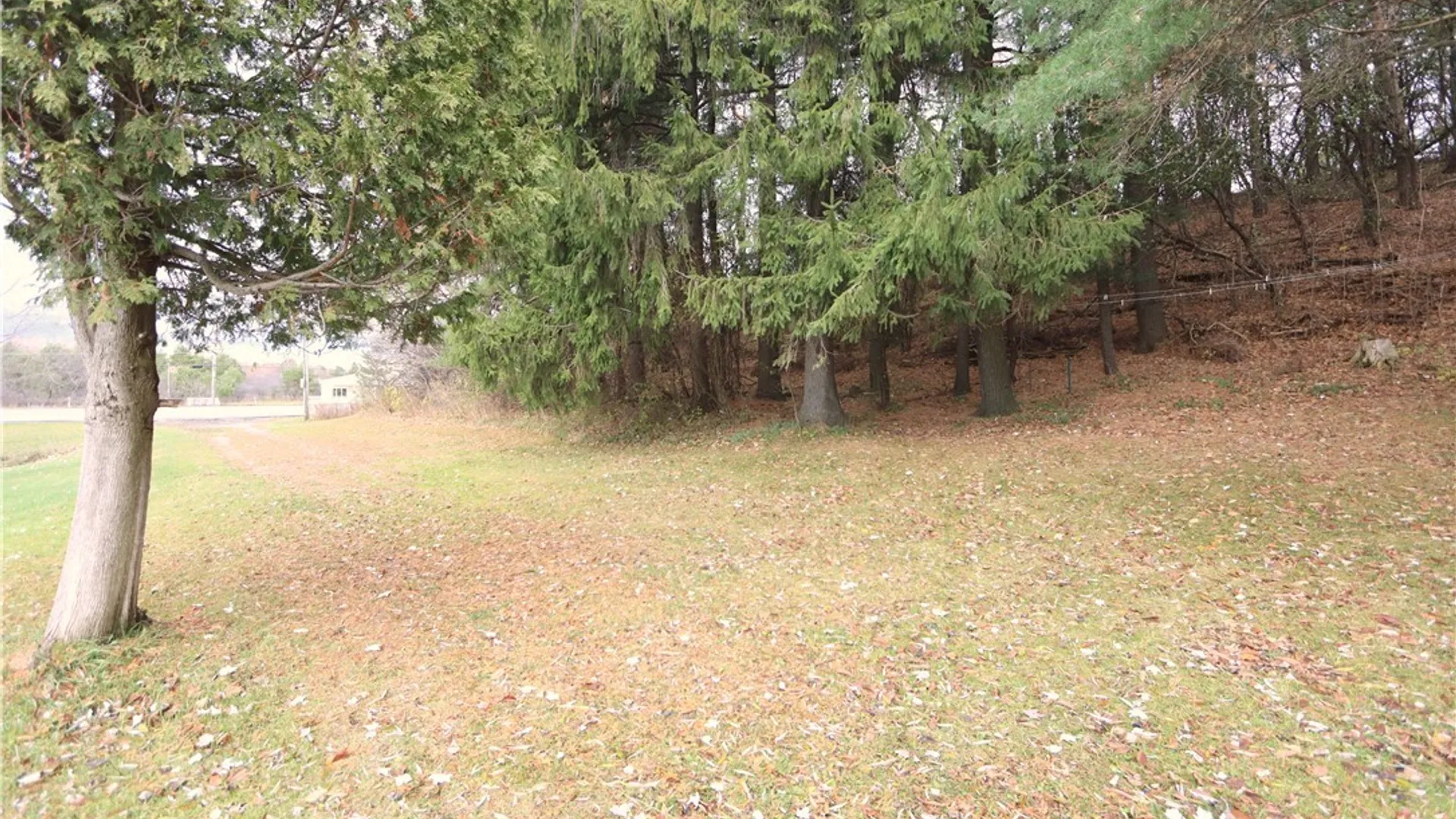 Property at 28120 State Route 126, Rutland, NY 13612 8