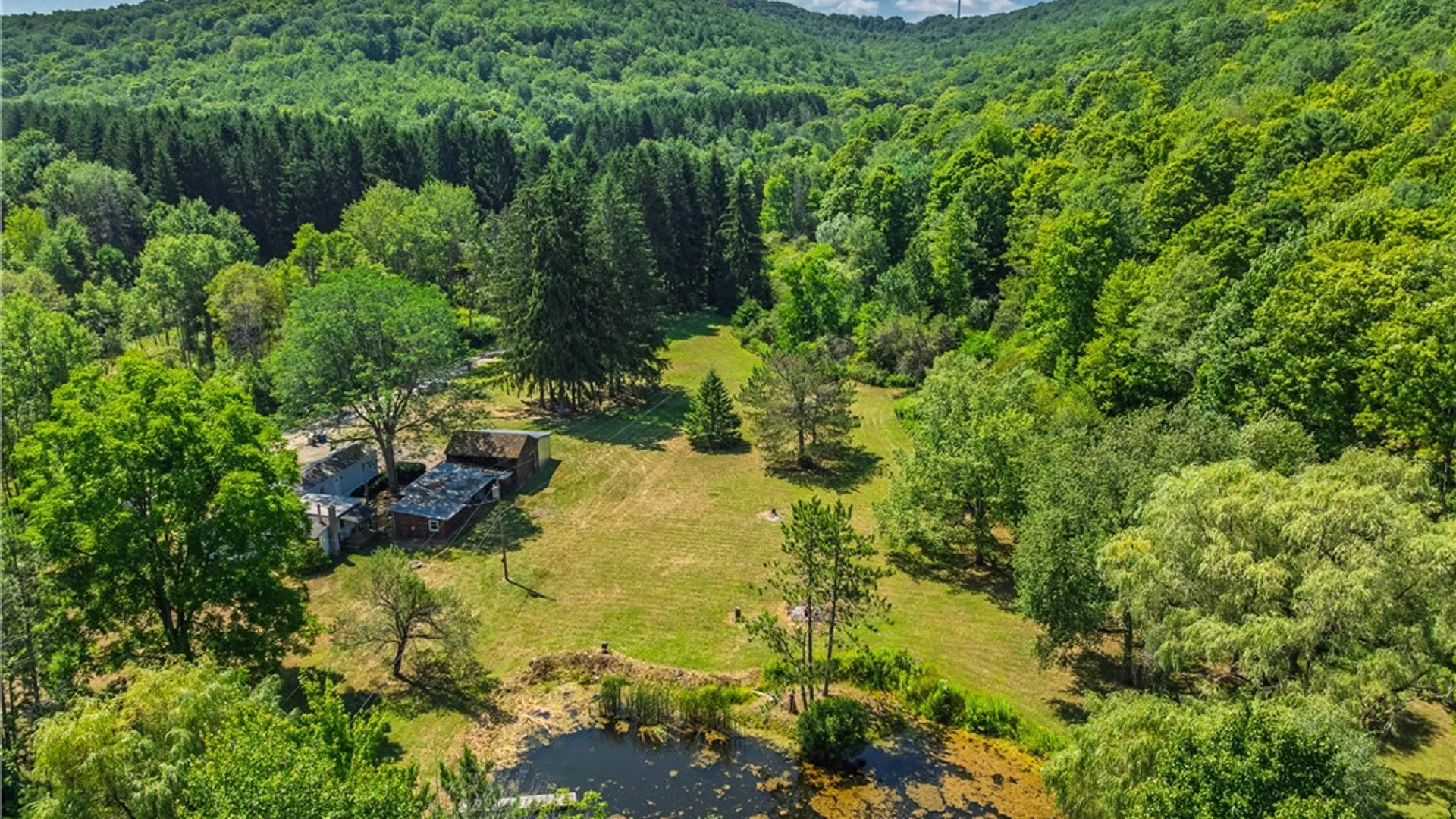 Property at 9929 Lake Hollow Road, Cohocton, NY 14826 7