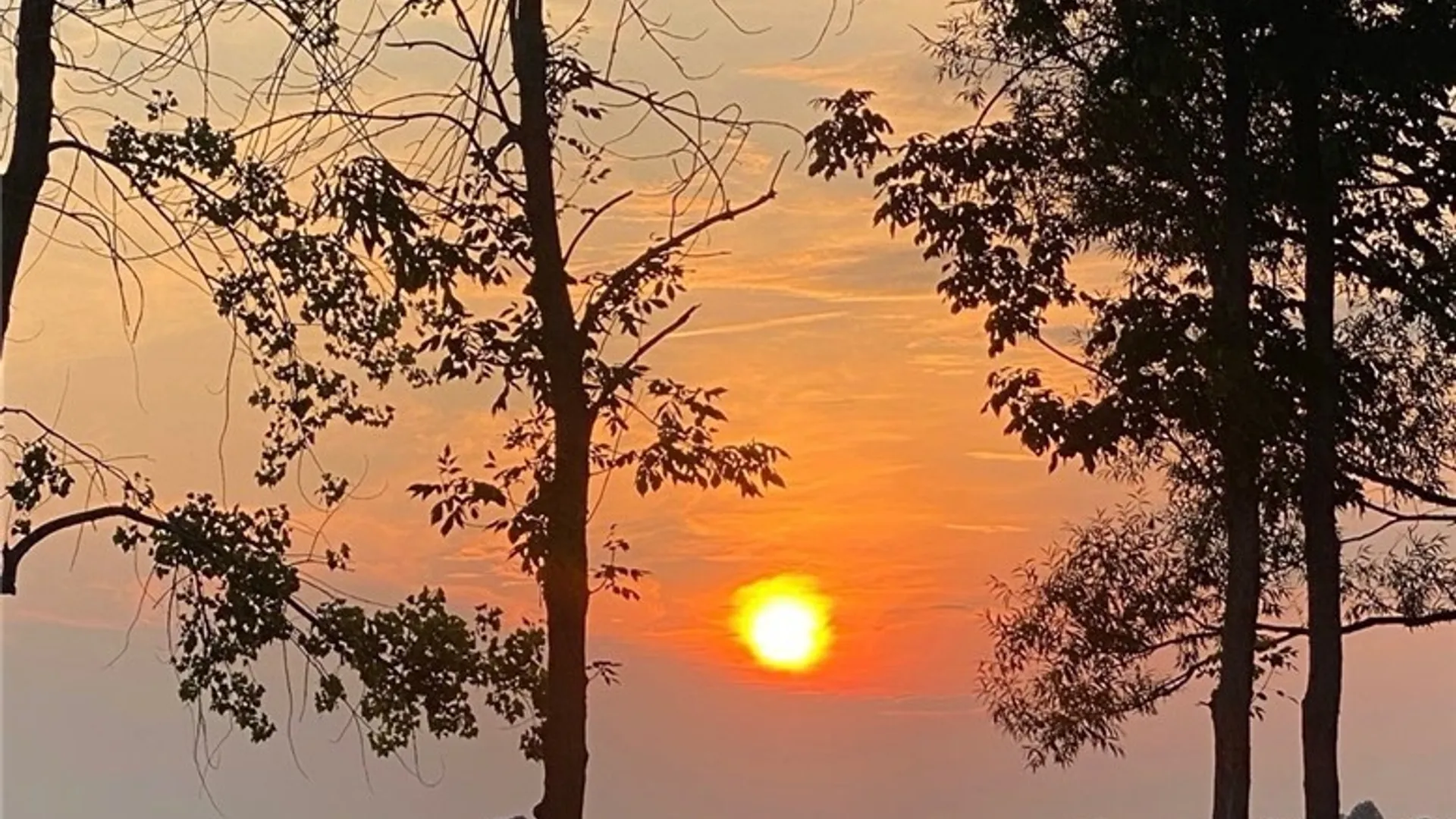 Property at 25659 Fire Road 22, Lyme, NY 13693 9