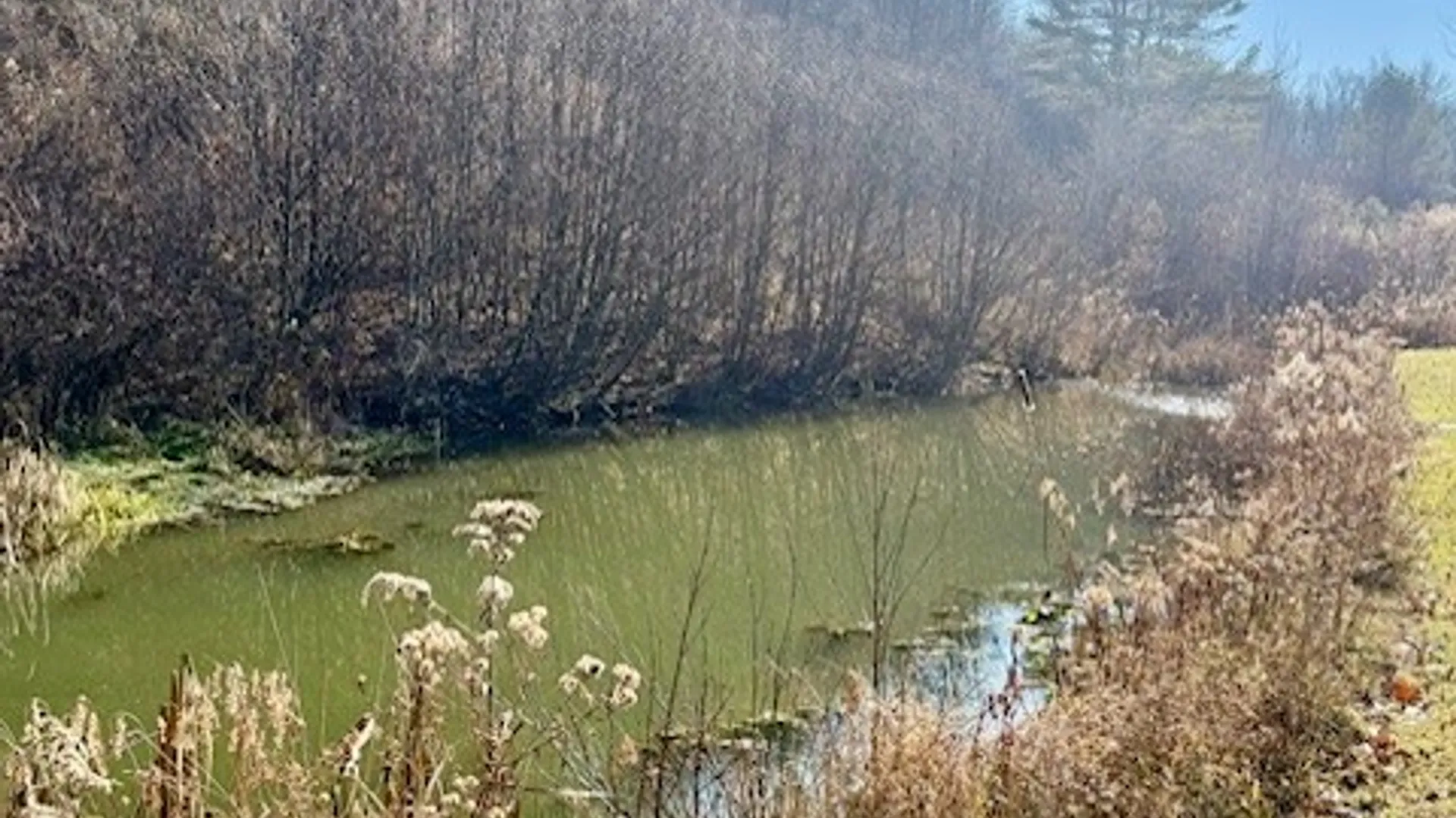 Property at Lot 36 County Road 4, Preston, NY 13830 21