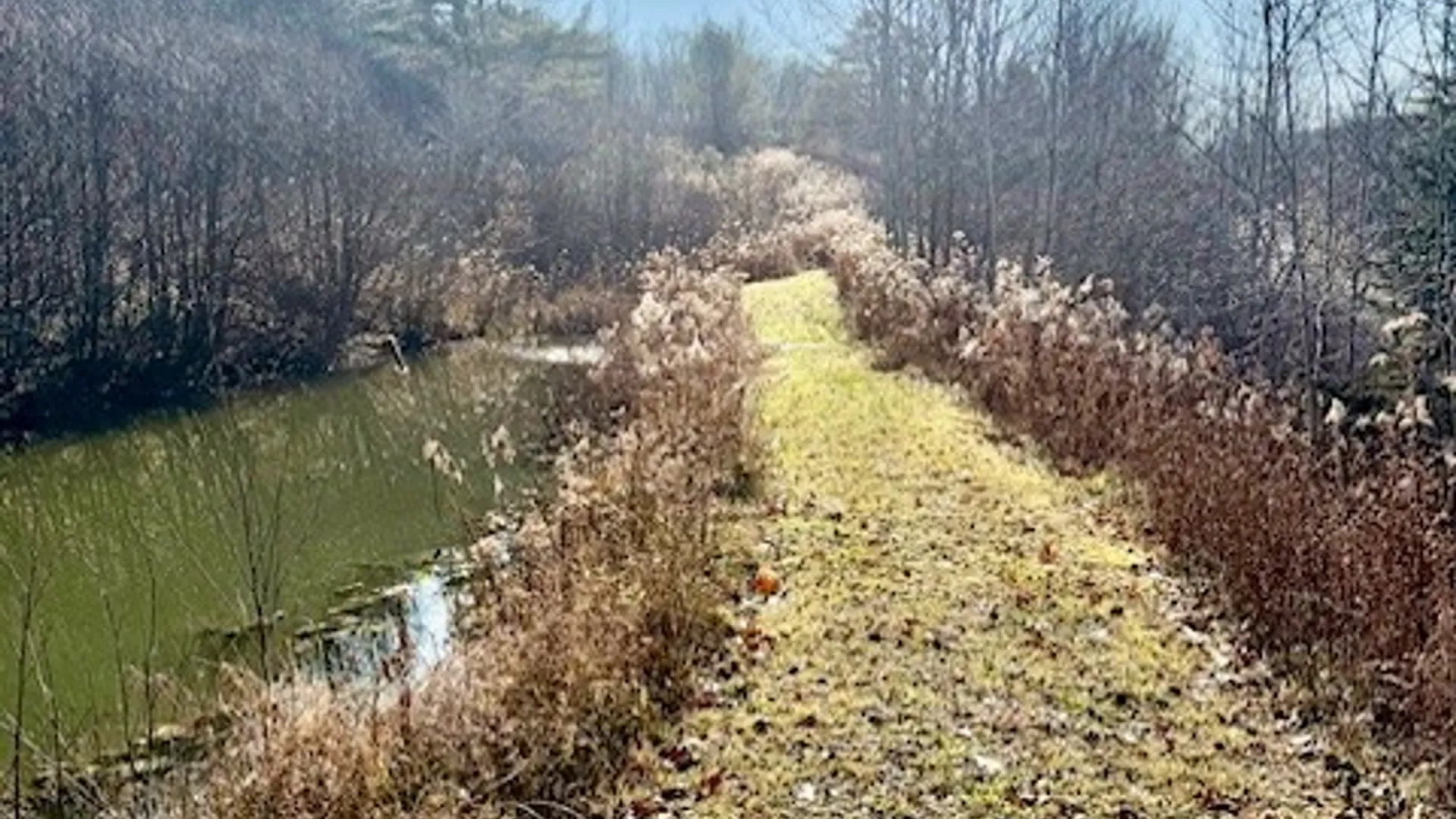 Property at Lot 36 County Road 4, Preston, NY 13830 22