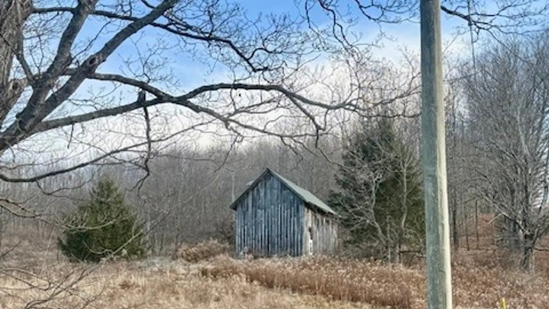 Property at Lot 36 County Road 4, Preston, NY 13830 23
