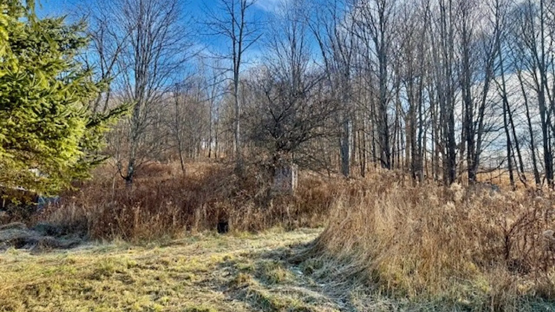 Property at Lot 36 County Road 4, Preston, NY 13830 24
