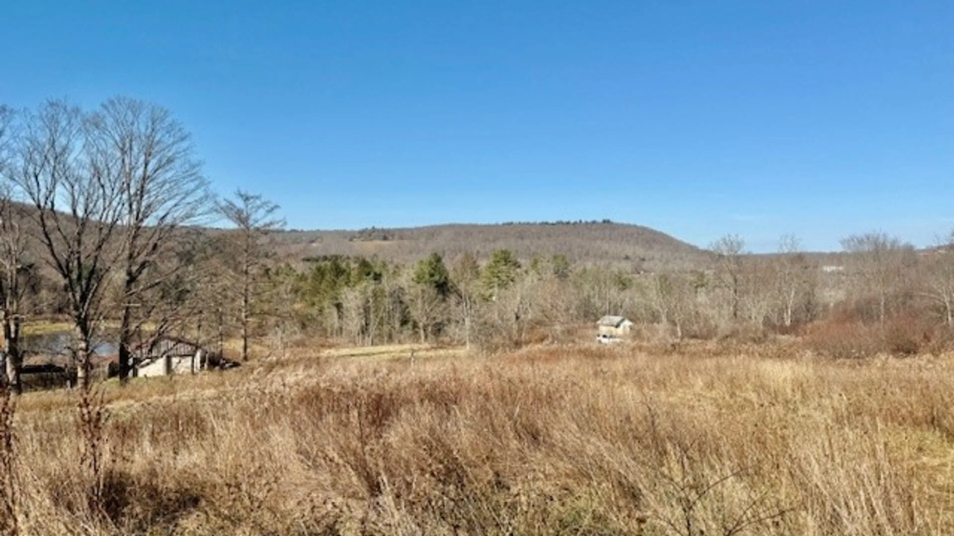Property at Lot 36 County Road 4, Preston, NY 13830 4