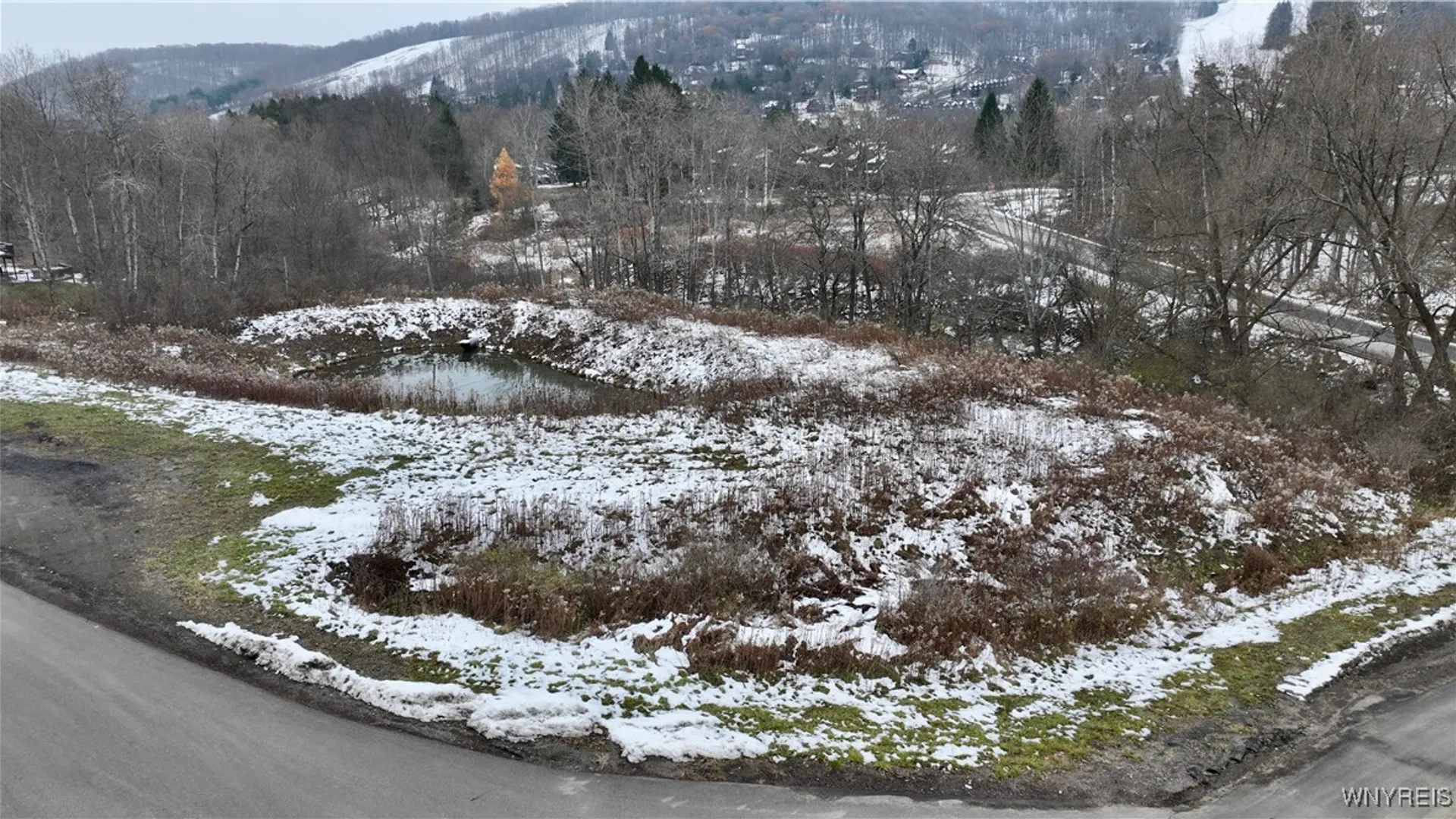 Property at Hencoop Hollow Road, Mansfield, NY 14731 14