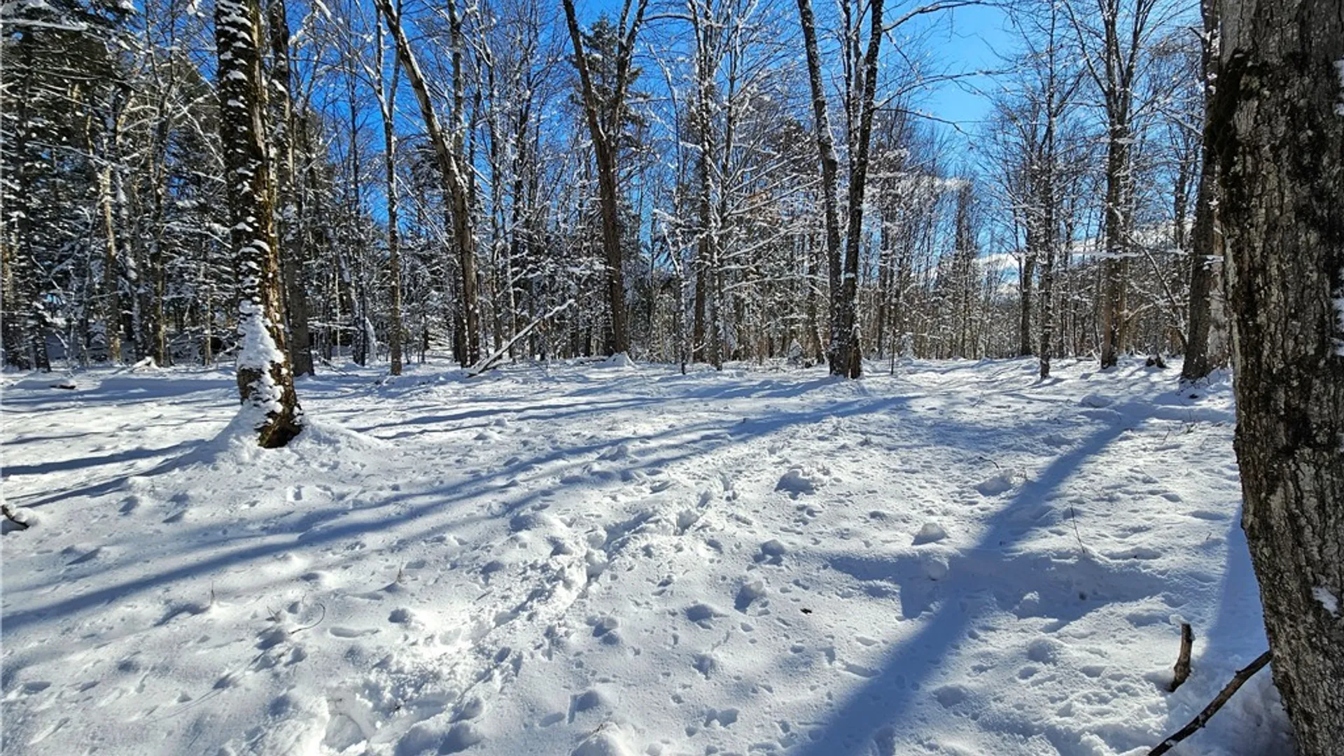 Property at Long Pond Road, Croghan, NY 13327 11