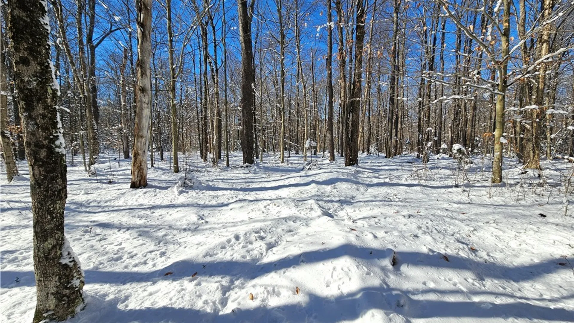 Property at Long Pond Road, Croghan, NY 13327 12