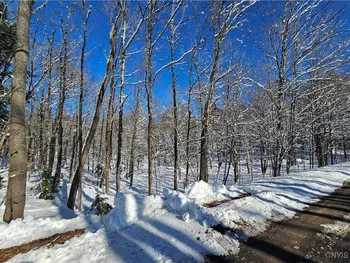 Property at Long Pond Road, Croghan, NY 13327