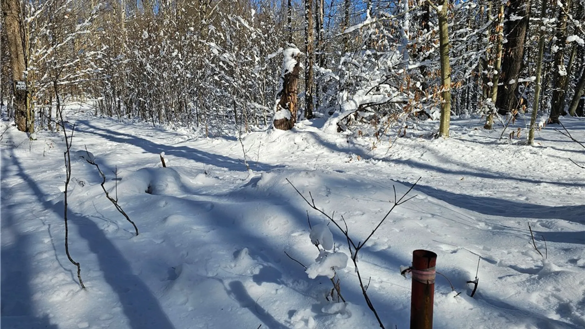 Property at Long Pond Road, Croghan, NY 13327 25