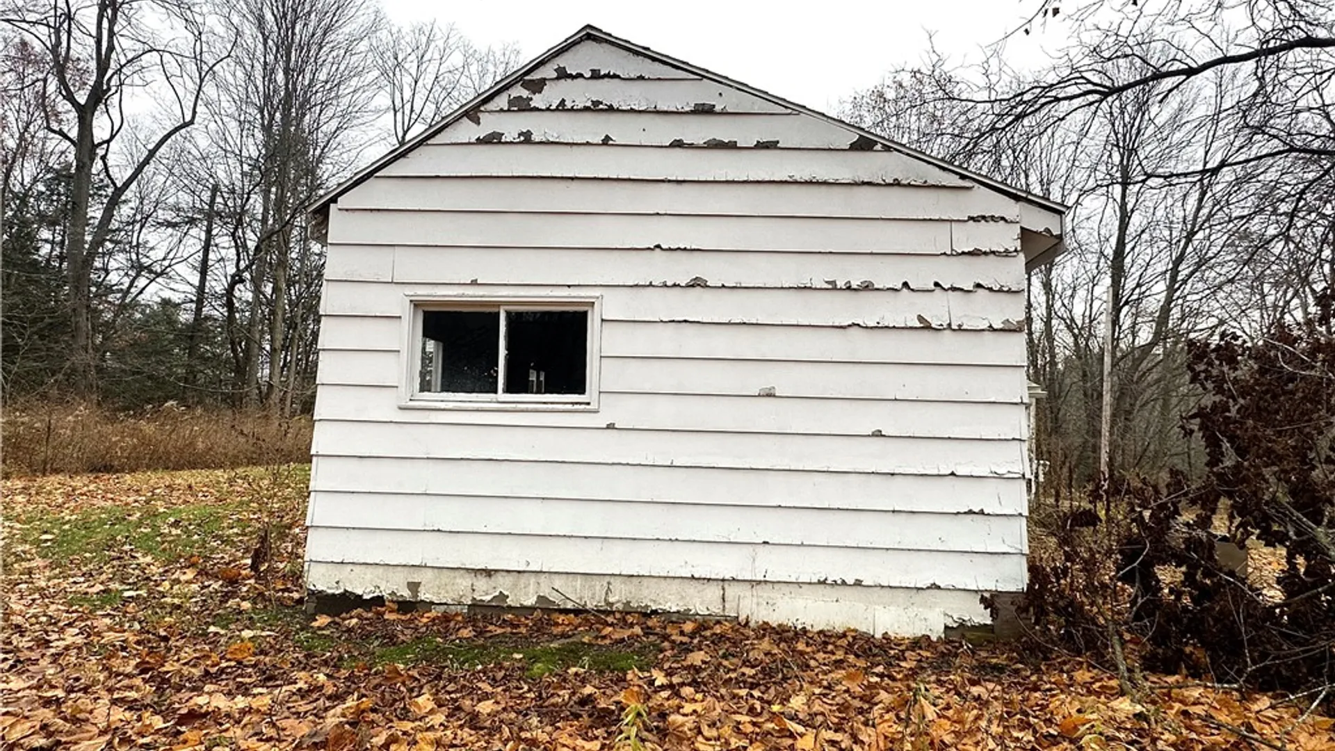 Property at 8975 Becker Road, Springwater, NY 14572 5