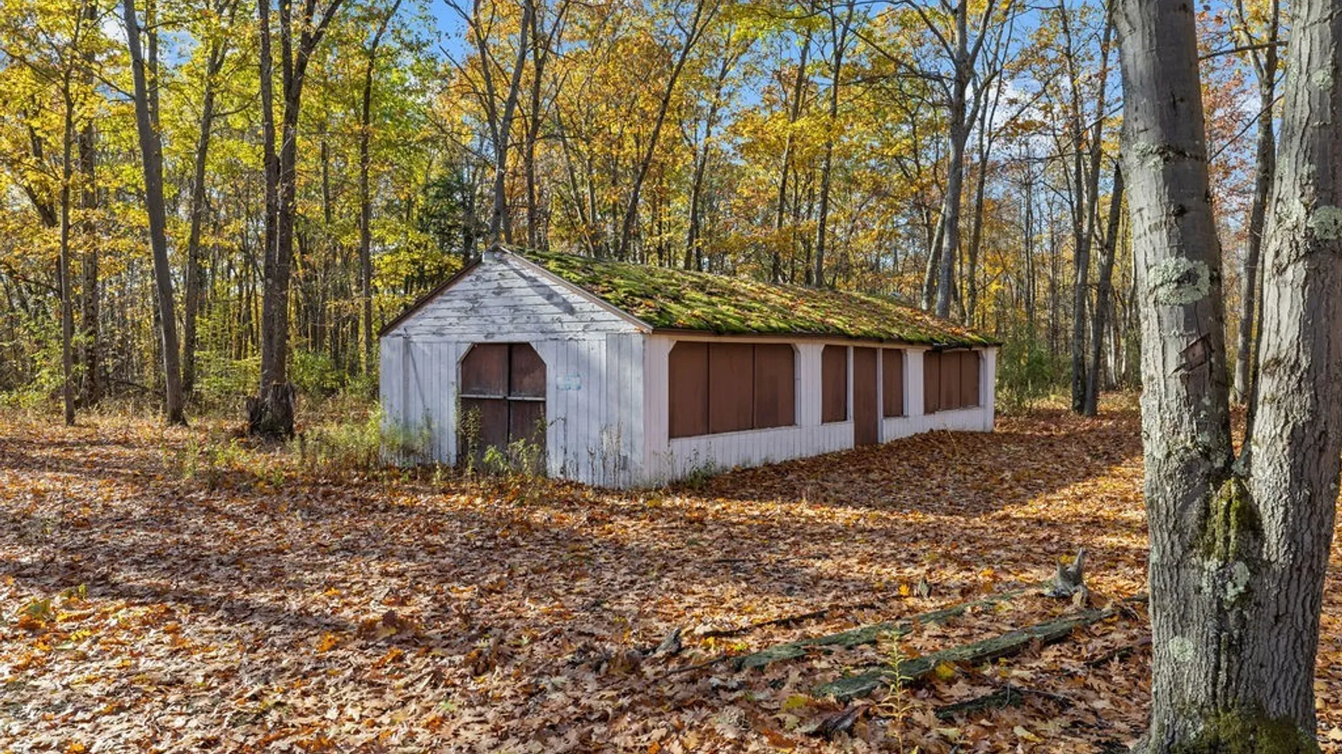 Property at 52 Nestle Drive, Volney, NY 13069 42