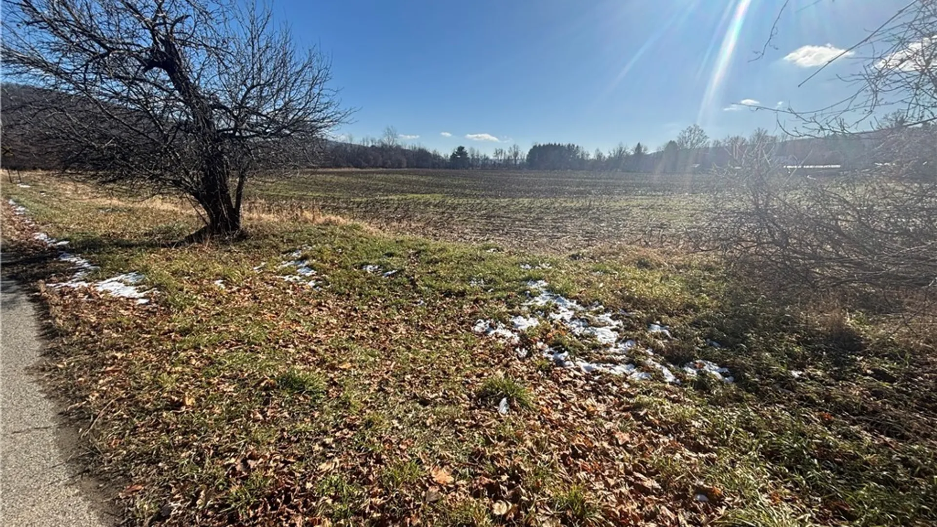 Property at Scio Road, Amity, NY 14813 10