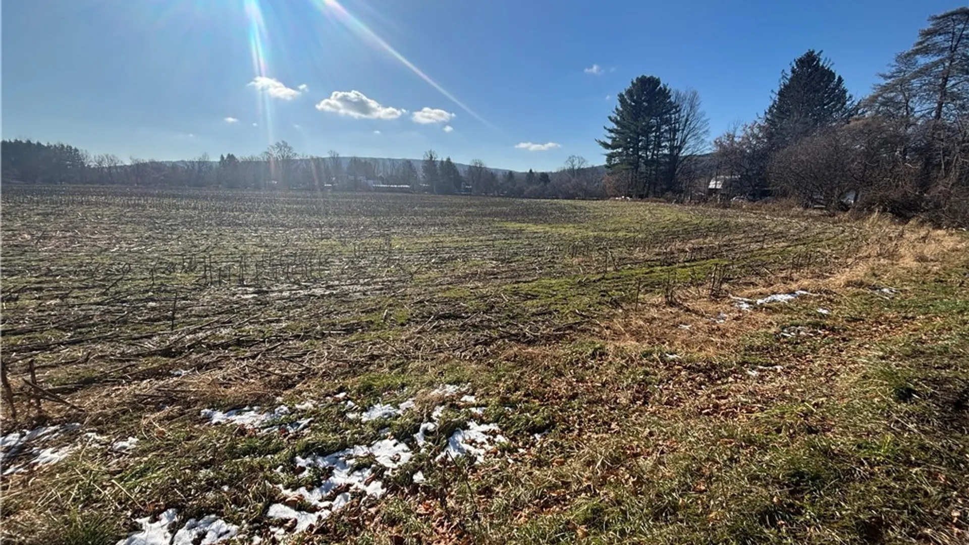 Property at Scio Road, Amity, NY 14813 6