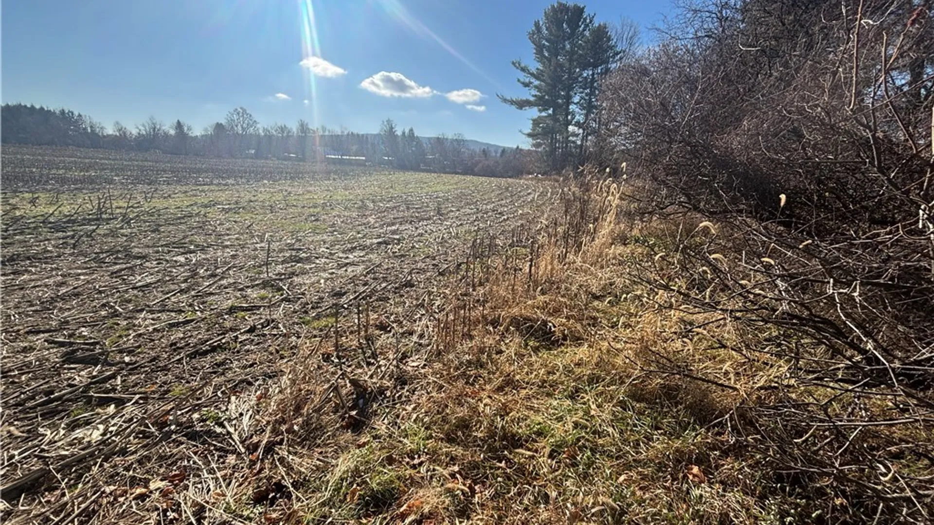 Property at Scio Road, Amity, NY 14813 8