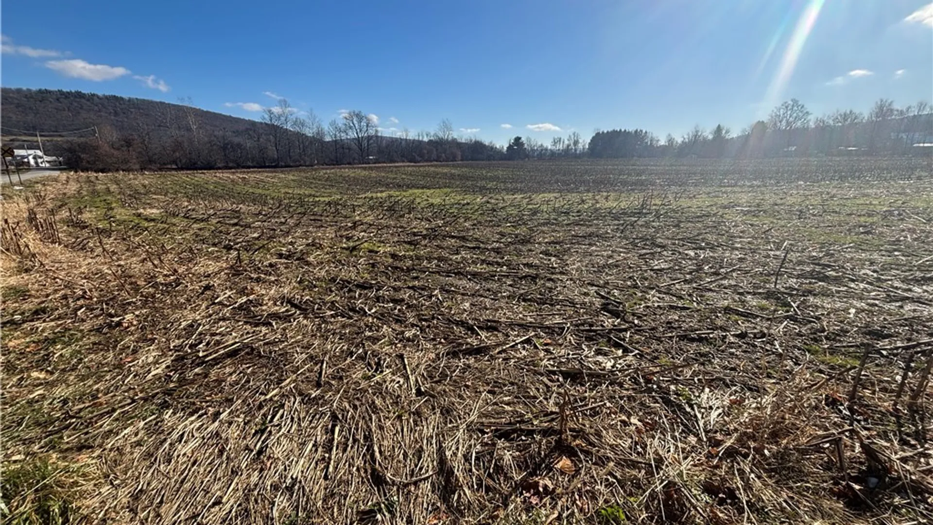 Property at Scio Road, Amity, NY 14813 9