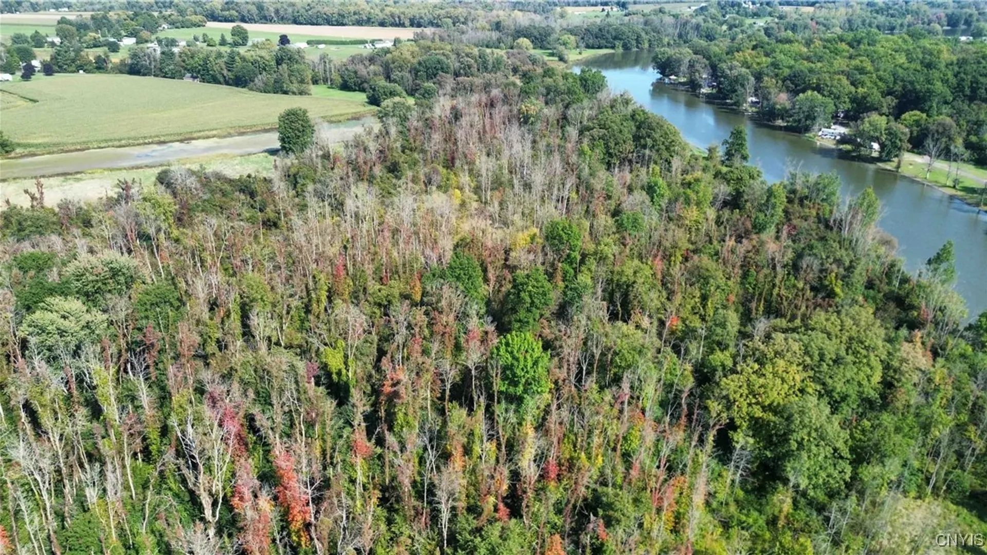 Property at 00 Hickory Island, Brutus, NY 13166 10