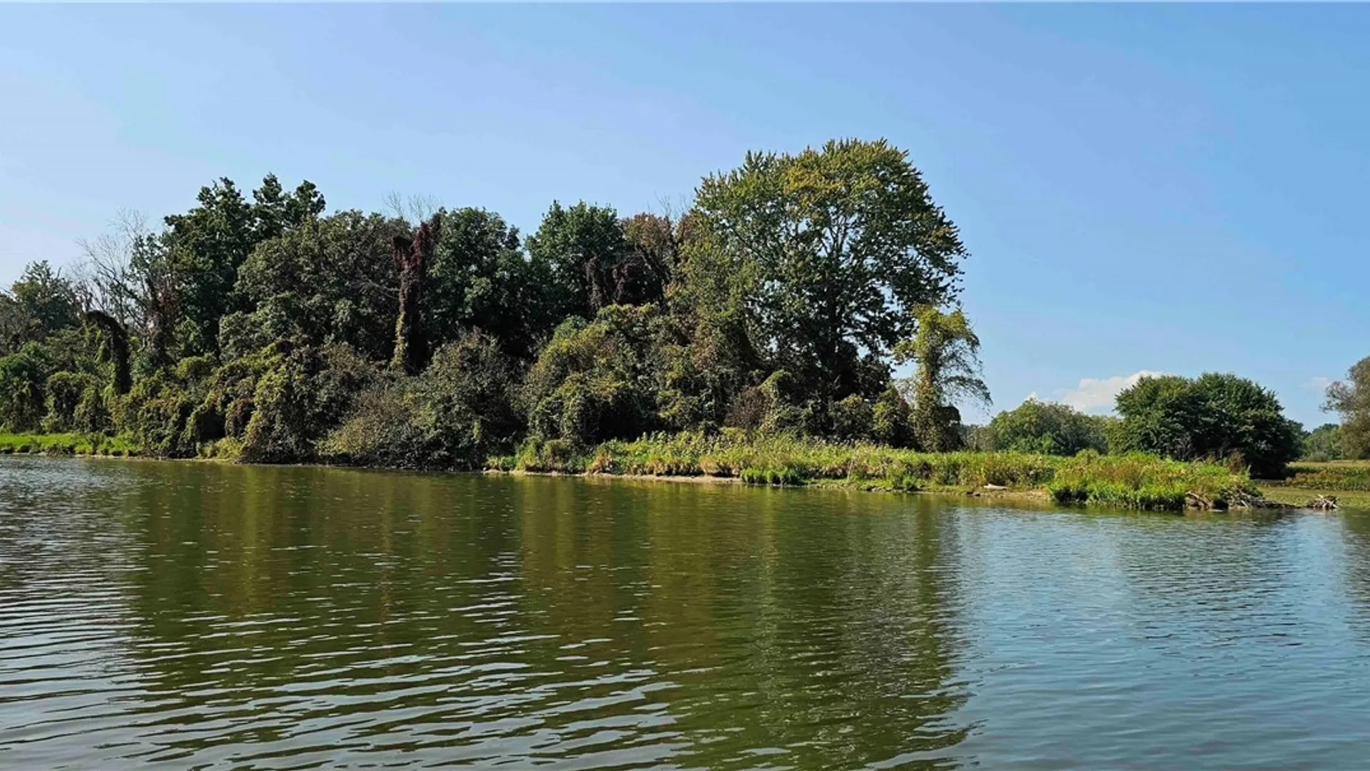 Property at 00 Hickory Island, Brutus, NY 13166 12