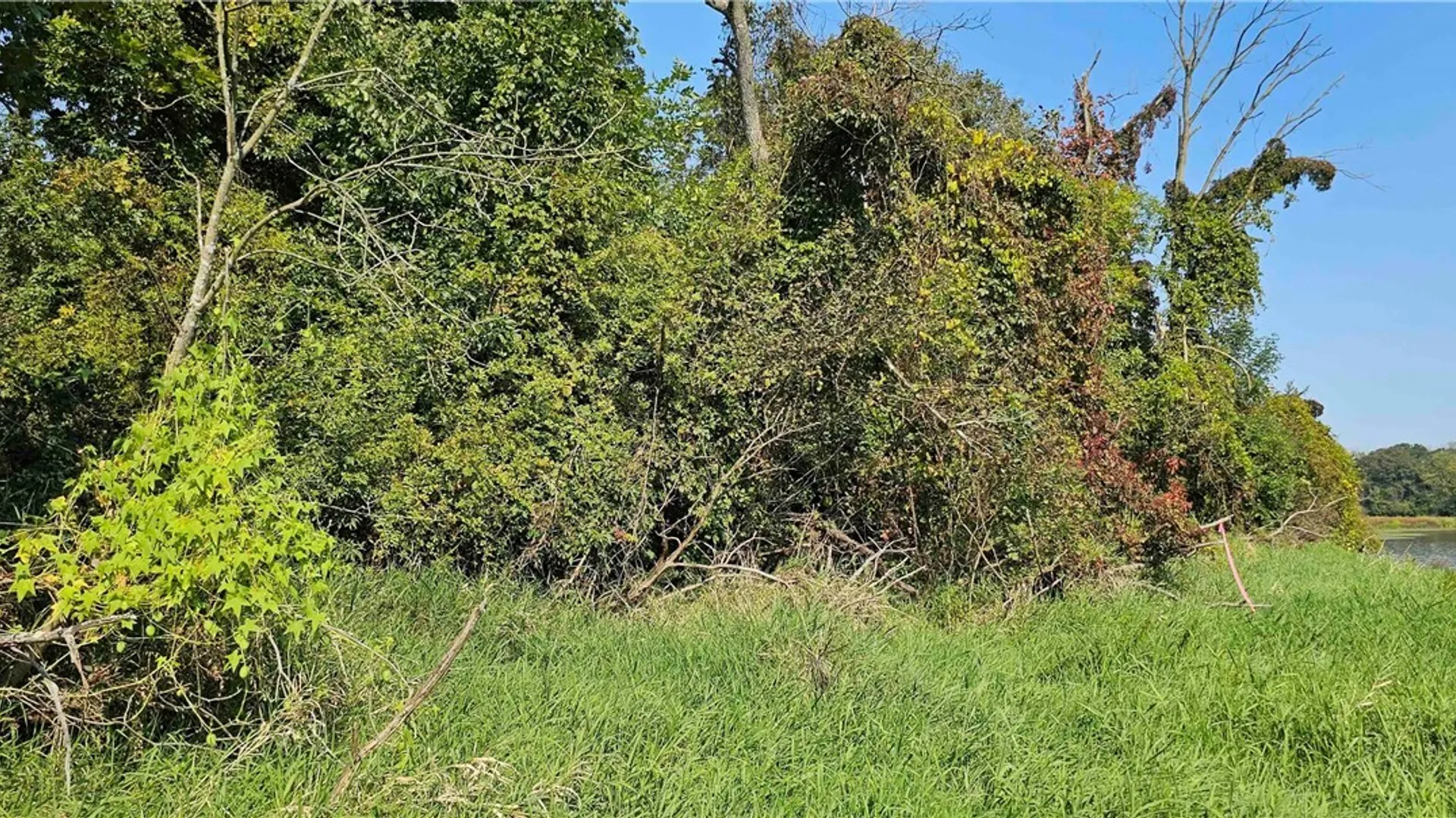 Property at 00 Hickory Island, Brutus, NY 13166 15