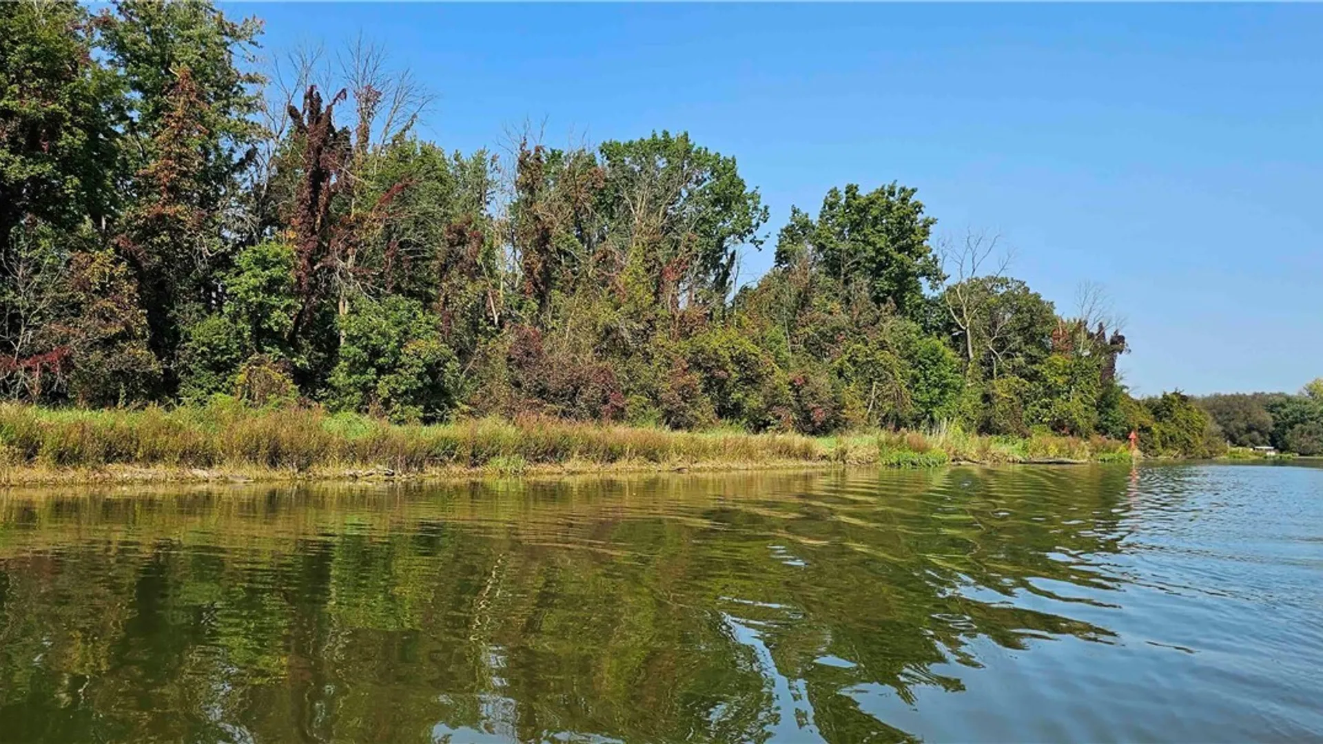 Property at 00 Hickory Island, Brutus, NY 13166 18