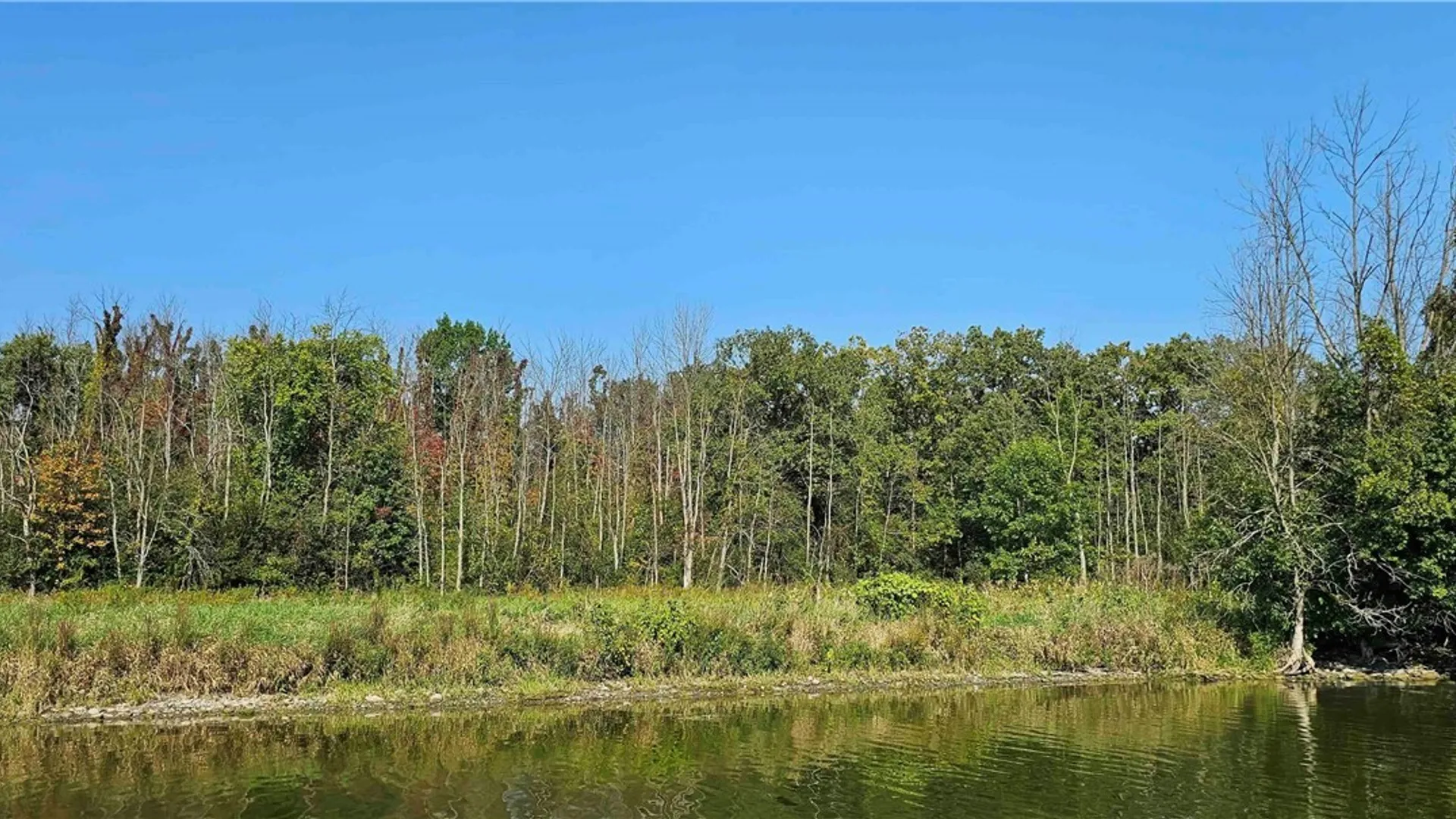 Property at 00 Hickory Island, Brutus, NY 13166 20
