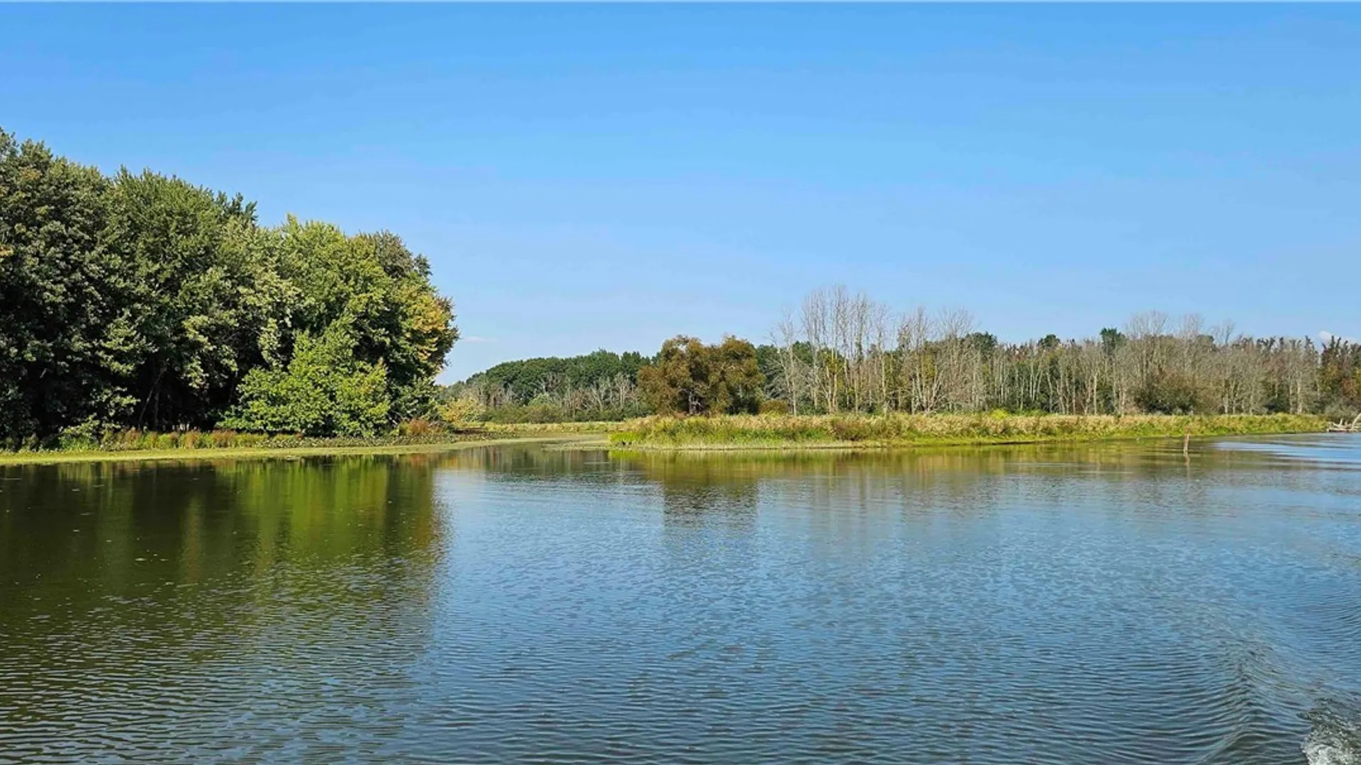 Property at 00 Hickory Island, Brutus, NY 13166 21
