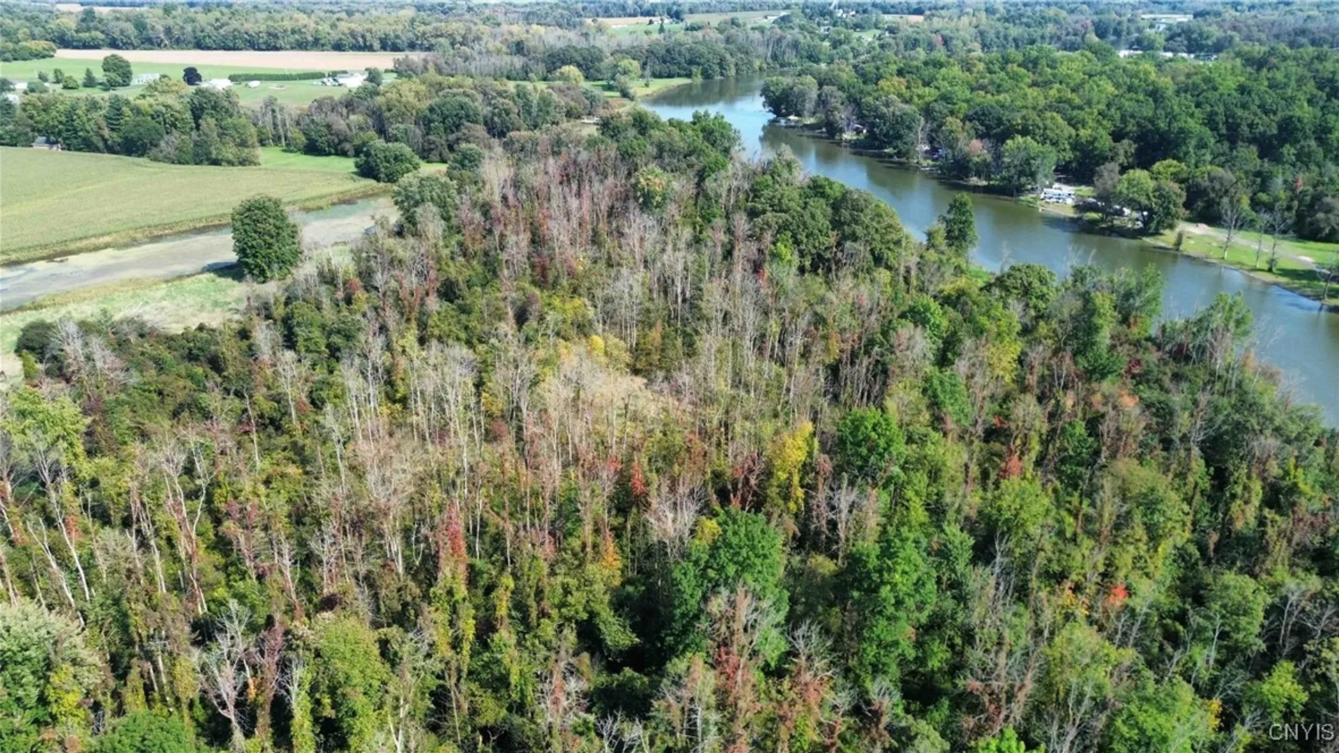 Property at 00 Hickory Island, Brutus, NY 13166 27