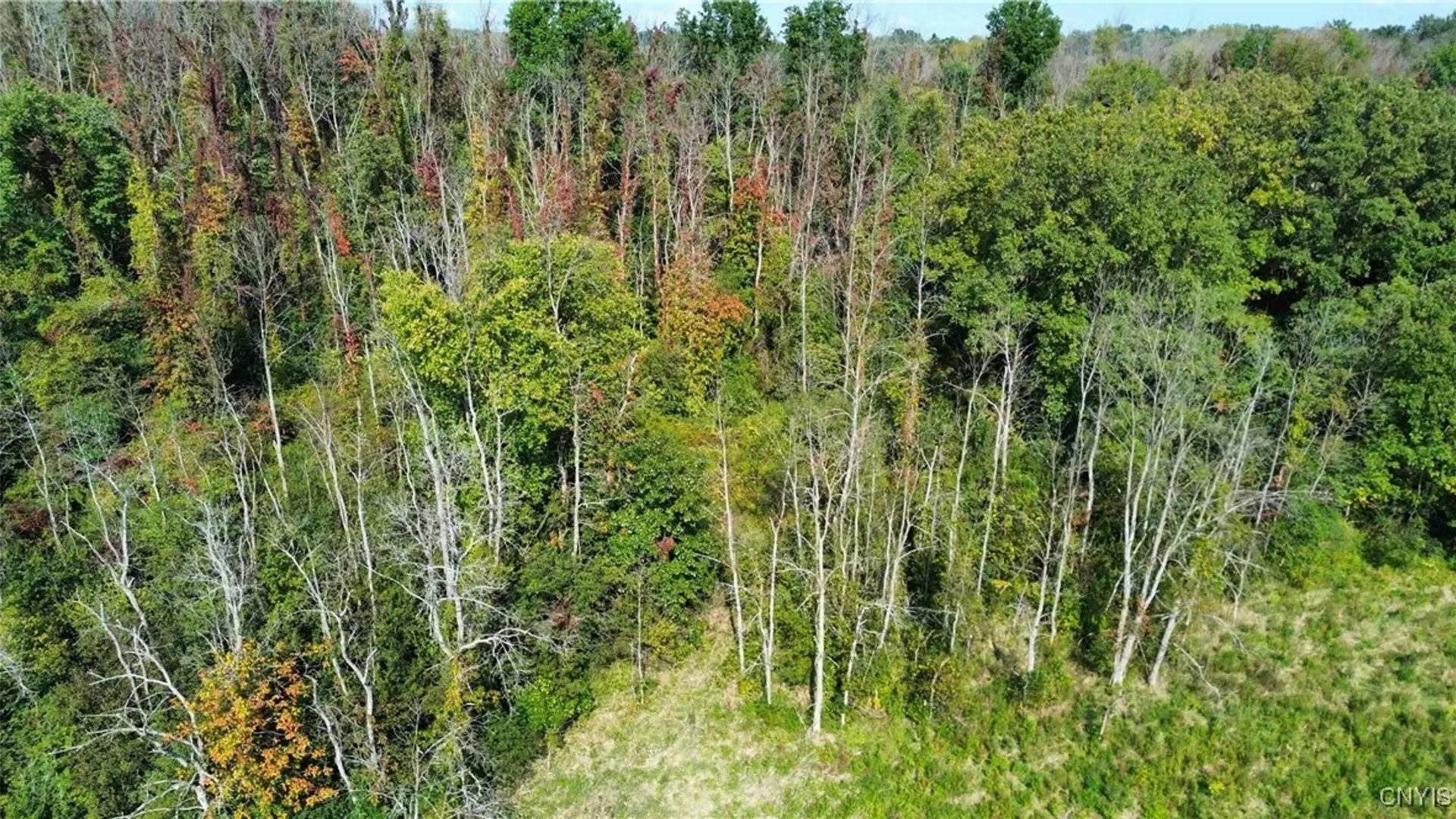 Property at 00 Hickory Island, Brutus, NY 13166 28