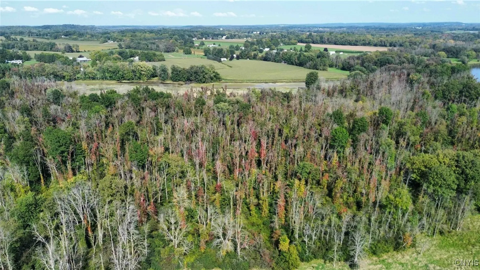 Property at 00 Hickory Island, Brutus, NY 13166 8