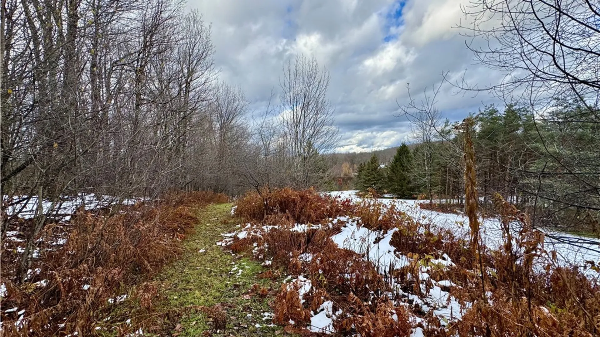 Property at 175 Hovick Road, Burlington, NY 13348 25