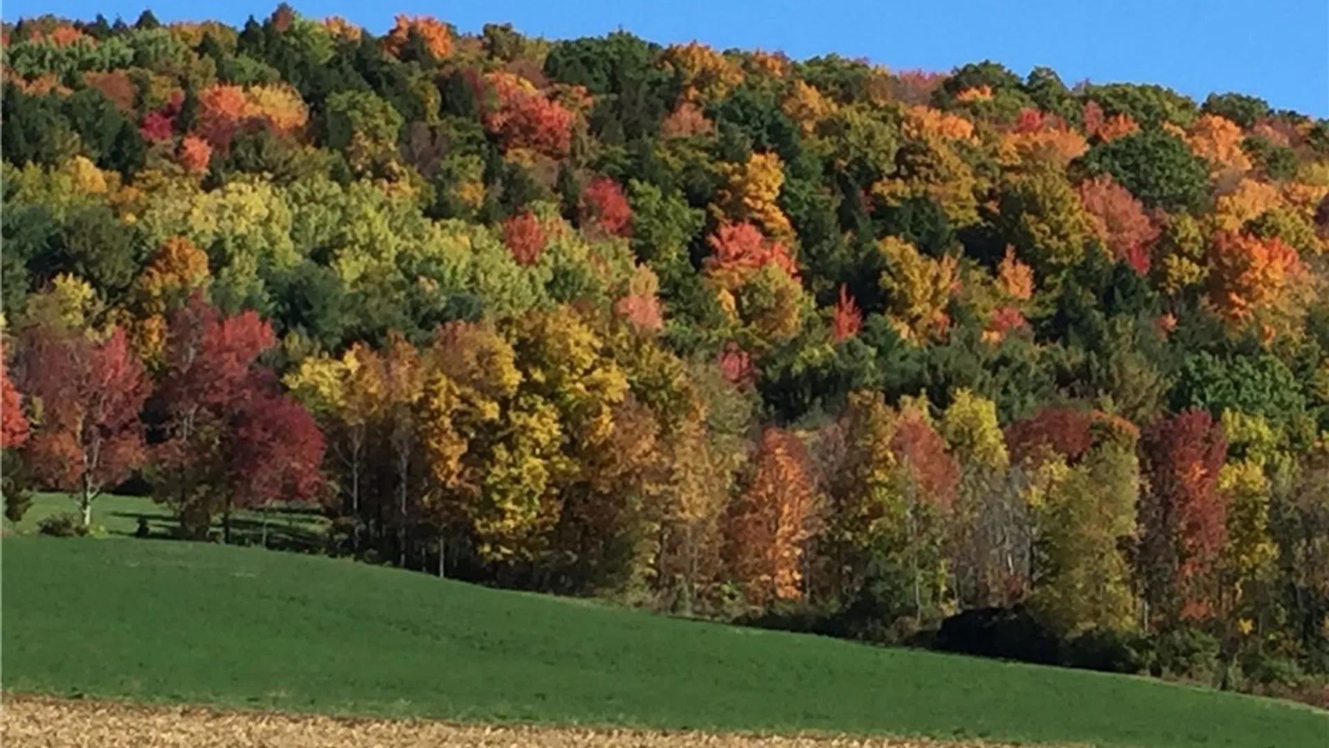 Property at 175 Hovick Road, Burlington, NY 13348 49