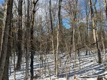Property at Stanley Roseboom Road, Westford, NY 12155