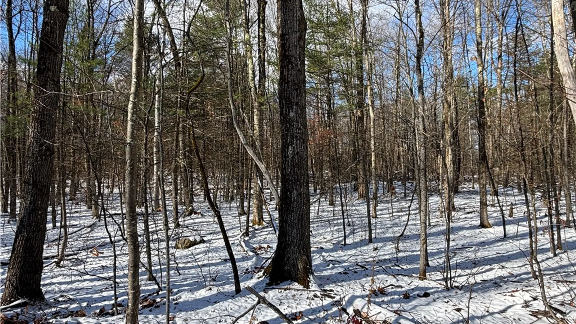 Property at Stanley Roseboom Road, Westford, NY 12155 4