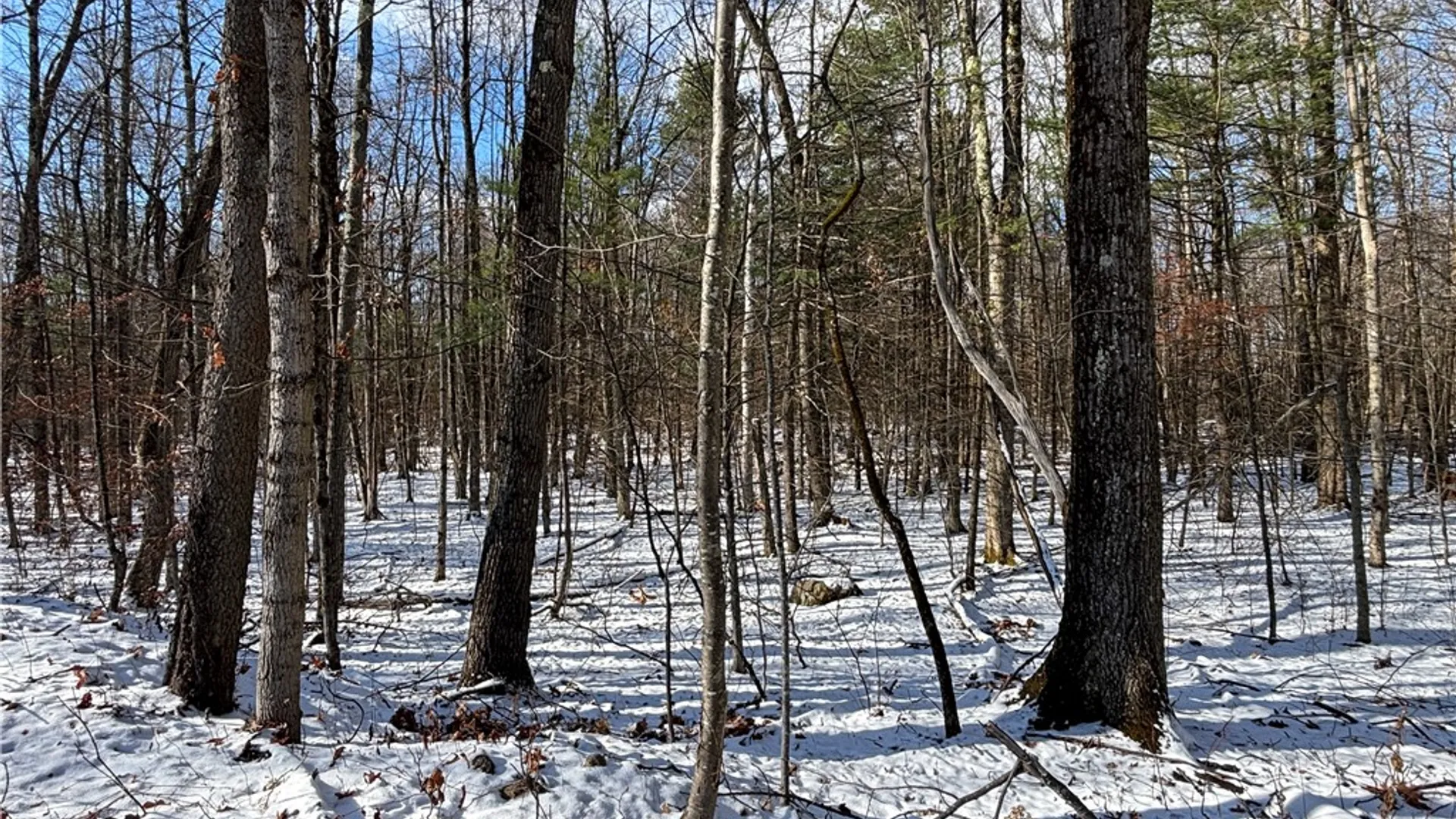 Property at Stanley Roseboom Road, Westford, NY 12155 5