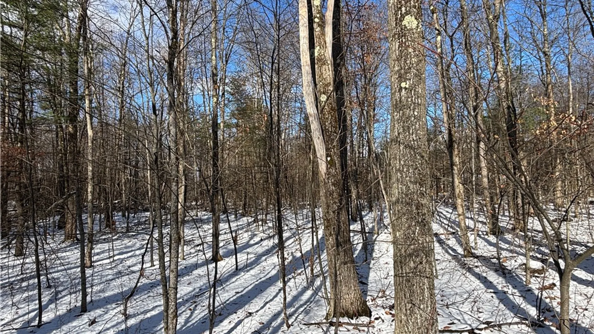 Property at Stanley Roseboom Road, Westford, NY 12155 6