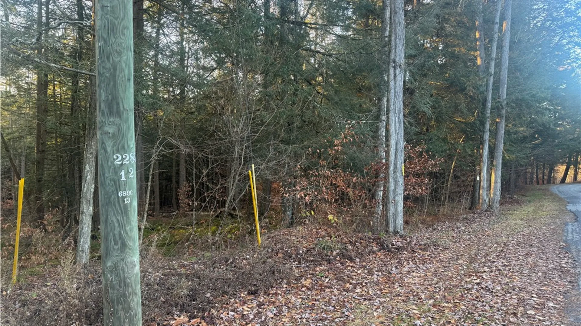 Property at Thorpe Hill Road, Masonville, NY 13838 2