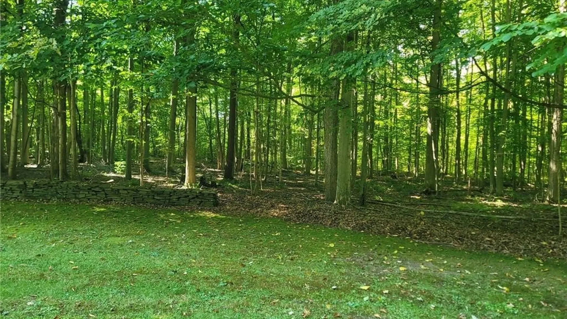 Property at LOT 1h Hamilton Way, Schroeppel, NY 13135 27