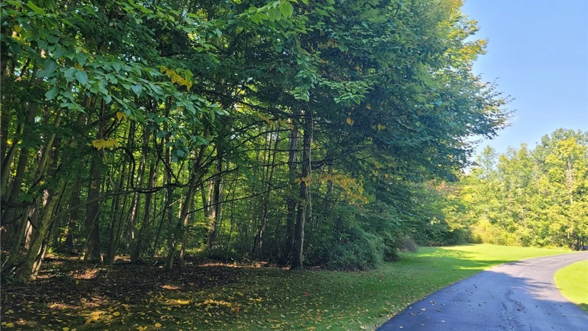 Property at LOT 1h Hamilton Way, Schroeppel, NY 13135 37