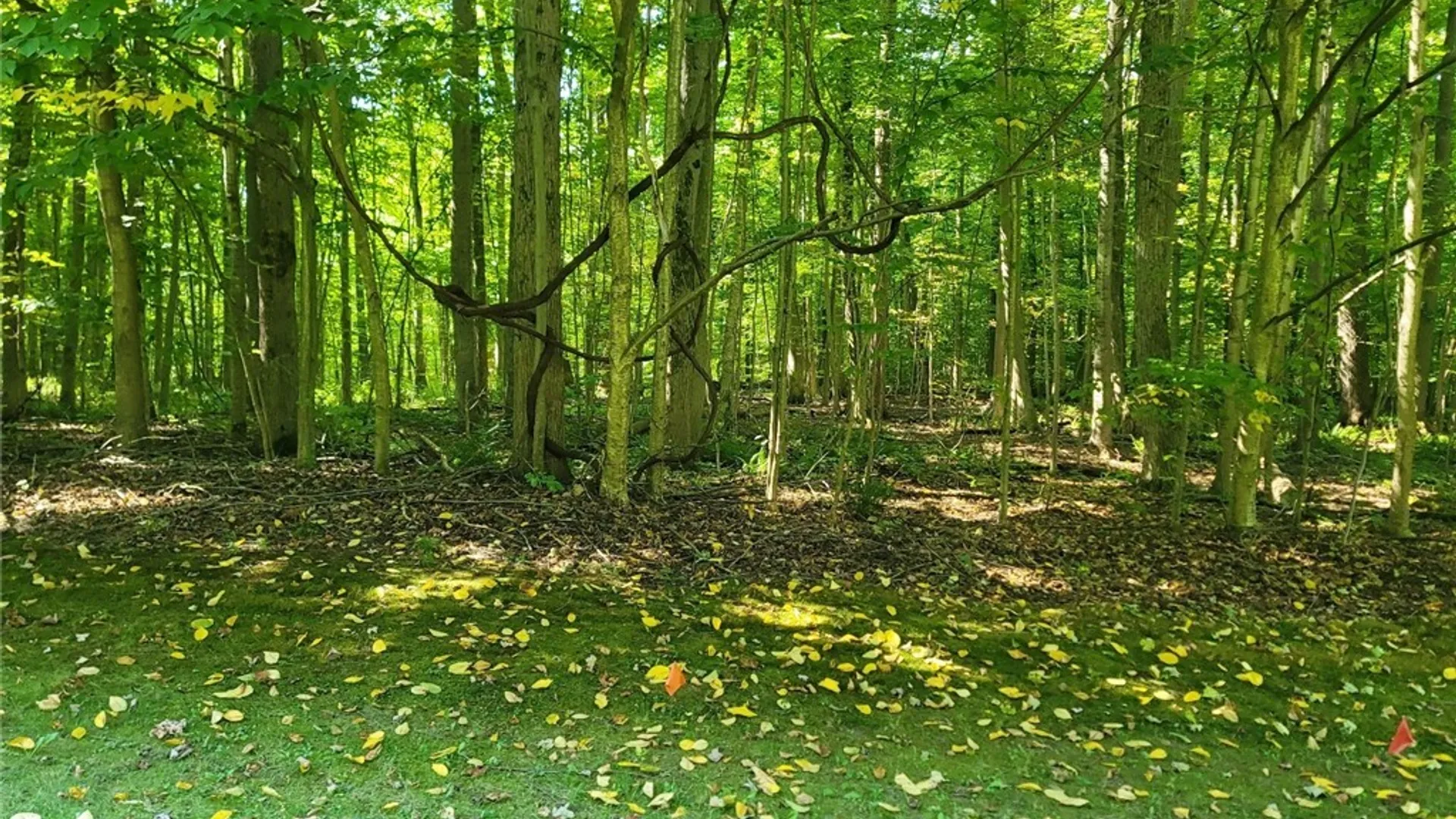 Property at LOT 1h Hamilton Way, Schroeppel, NY 13135 47